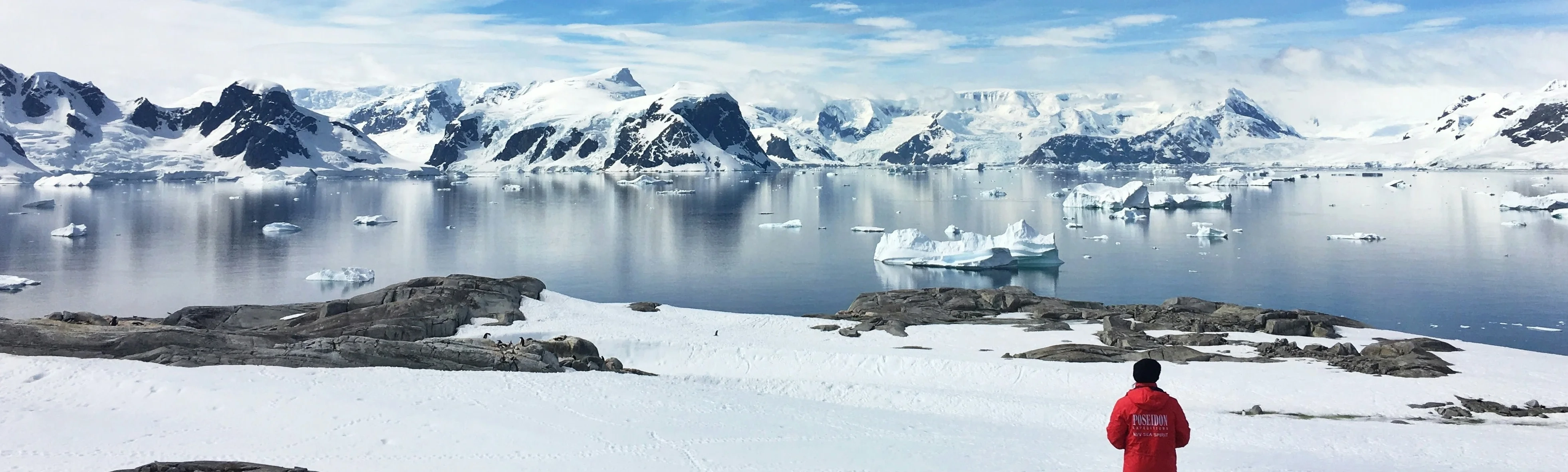 banner for promotion