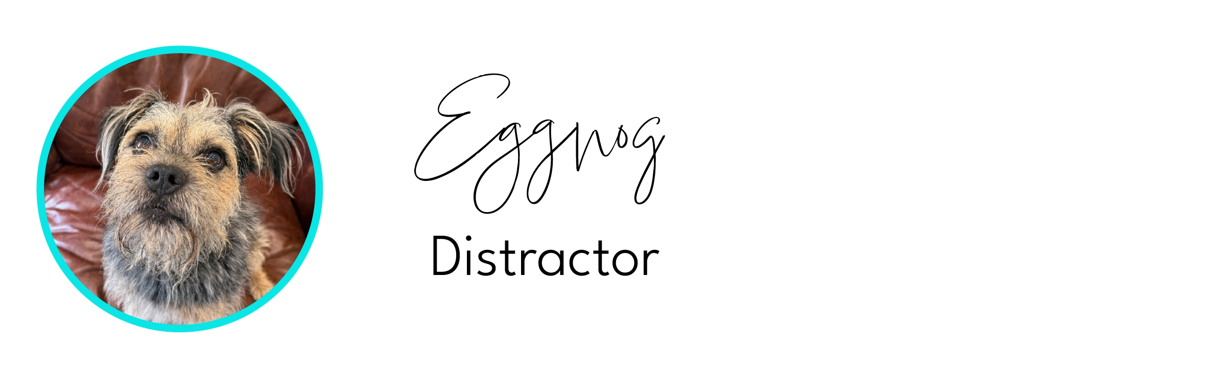 banner for promotion