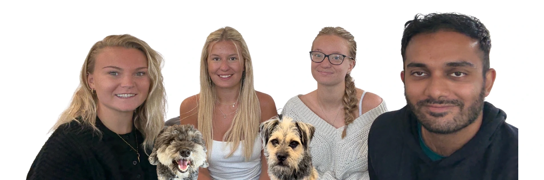 banner for promotion
