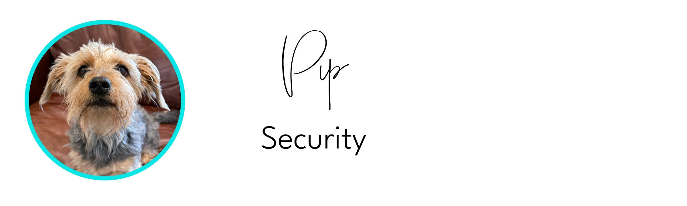 banner for promotion