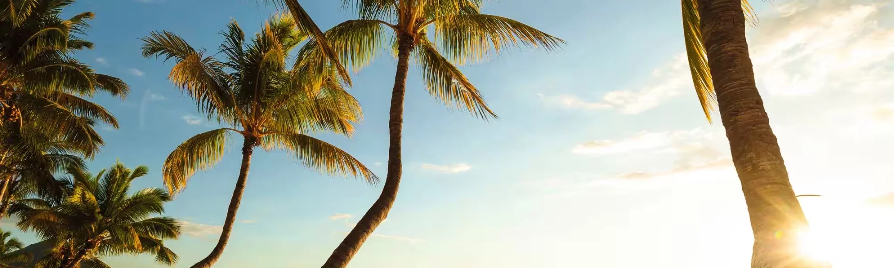 banner for promotion