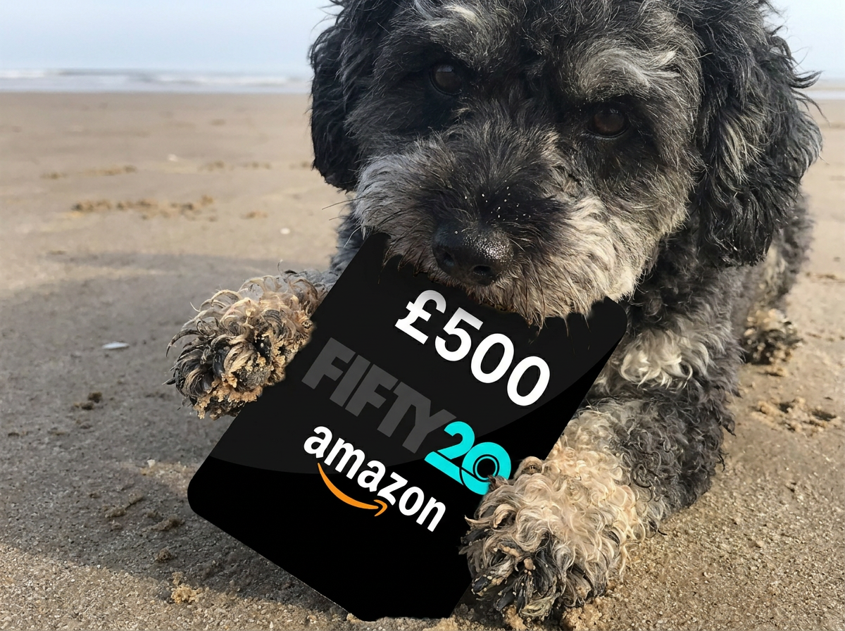 £500 Amazon Voucher